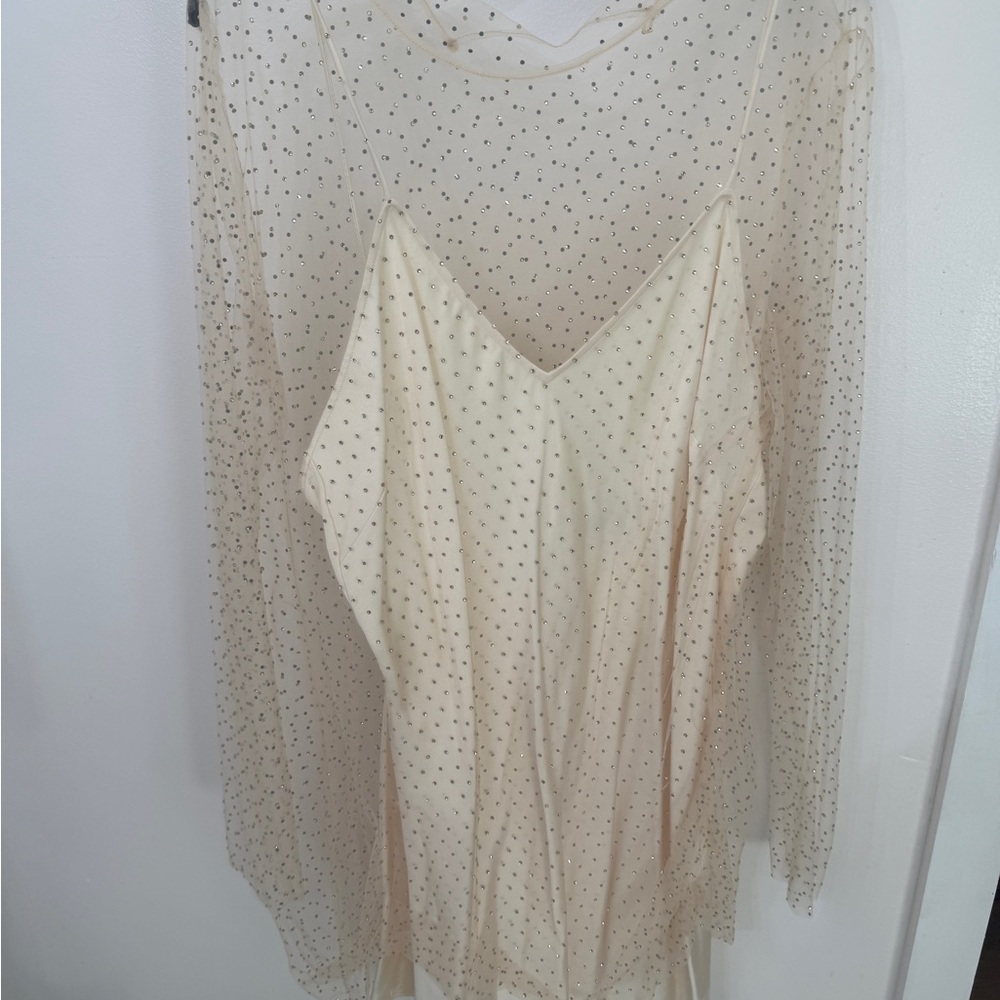Zara Cream Bedazzled Sheer Dress